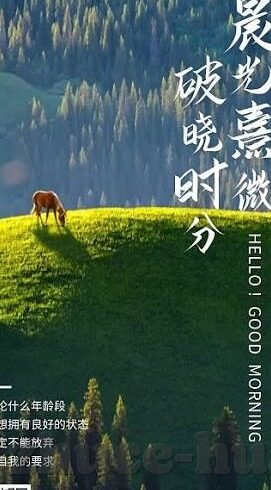 100足球比分-探秘100足球比分，激情与数据的交织盛宴