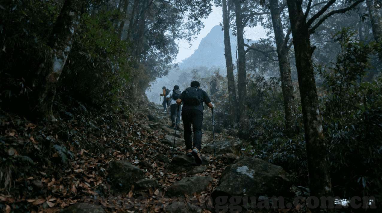 幸运彩票-幸运彩票，梦想成真的奇妙之旅